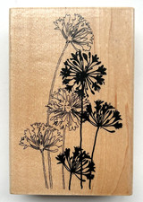 4.5" X 3" Lightly Used Wood Mounted Floral Rubber Stamp by Stampendous P107