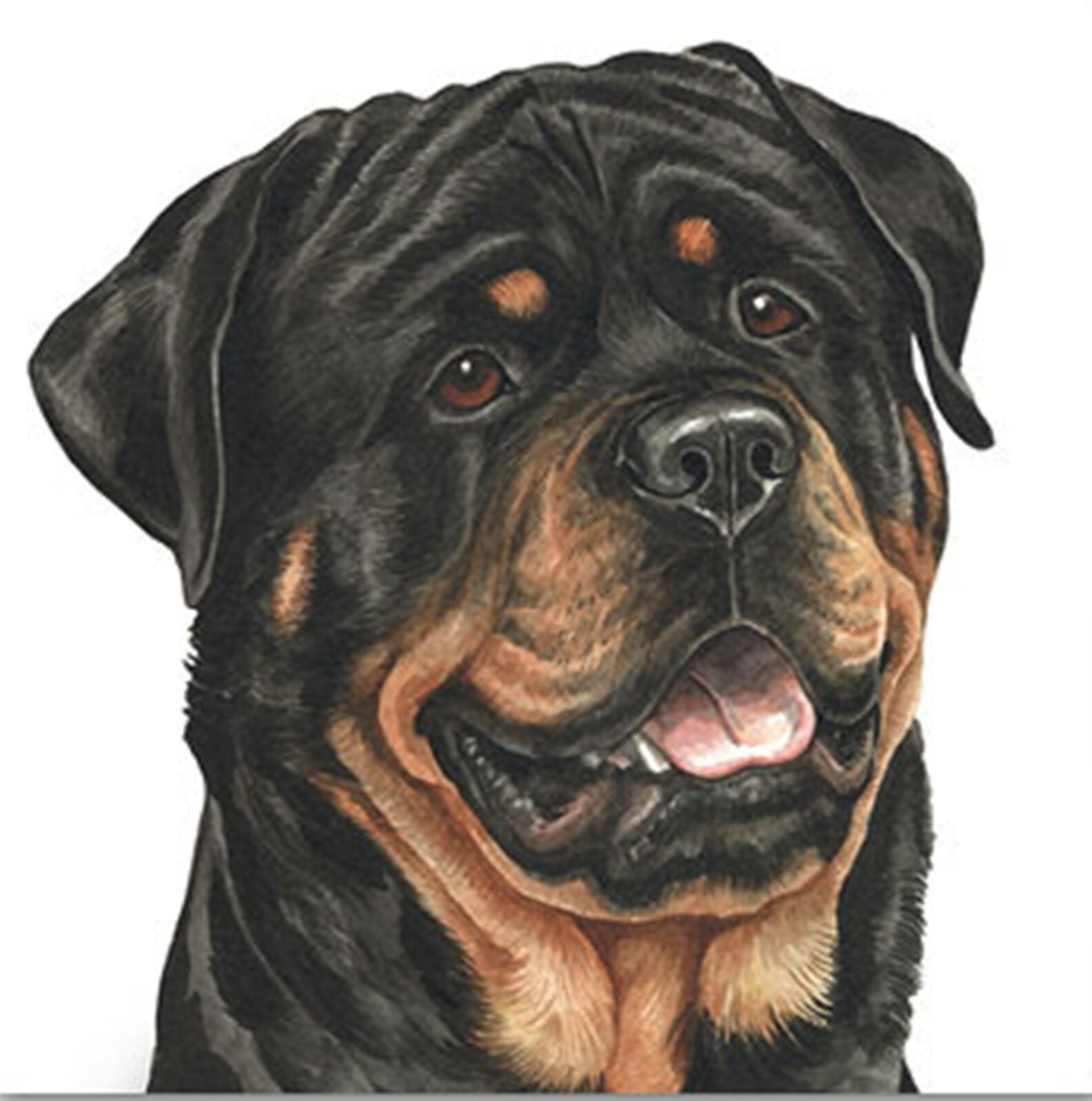 Rottweiler Dog Greeting Card WaggyDogz Blank Inside With Envelope