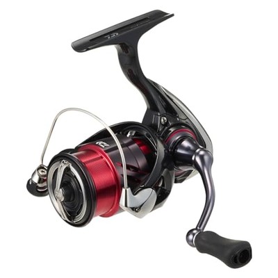 DAIWA LT1000S-P Spinning Reel 24 Tsukiyobijin XNEW | eBay