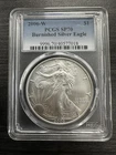 Photo of a 2006-W American Silver Eagle from an eBay listing that sold on Jul 16, 2026