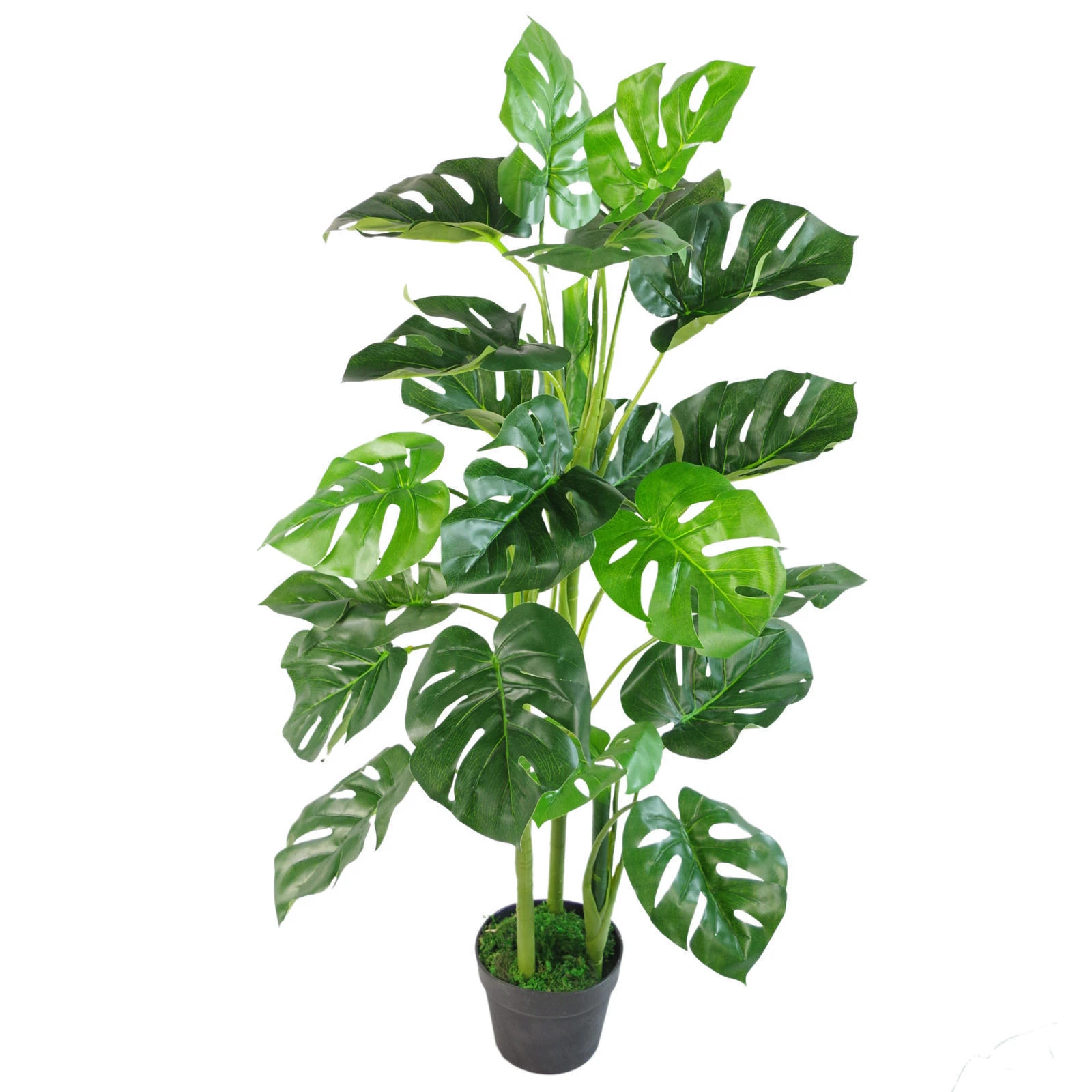100cm Monstera - 7139