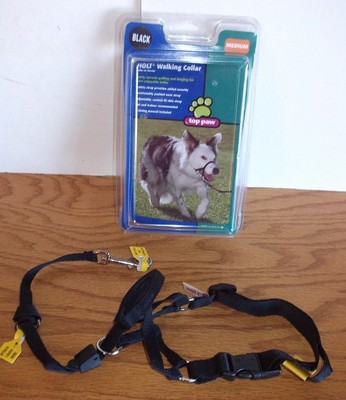 holt dog harness