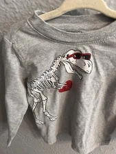 Celebrate Baby Boy's Long Sleeved Dinosaur Graphic T shirt Size 2T Heart