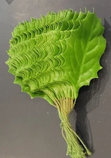 Vintage Millinery Leaves Green Fabric Pressed 3" 24 Leaves in each bunch