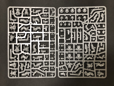 #ad Assault Intercessors x5 Space Marines Warhammer 40K NEW ON SPRUE $29.95