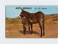 Postcard Hot Meals At All Hours