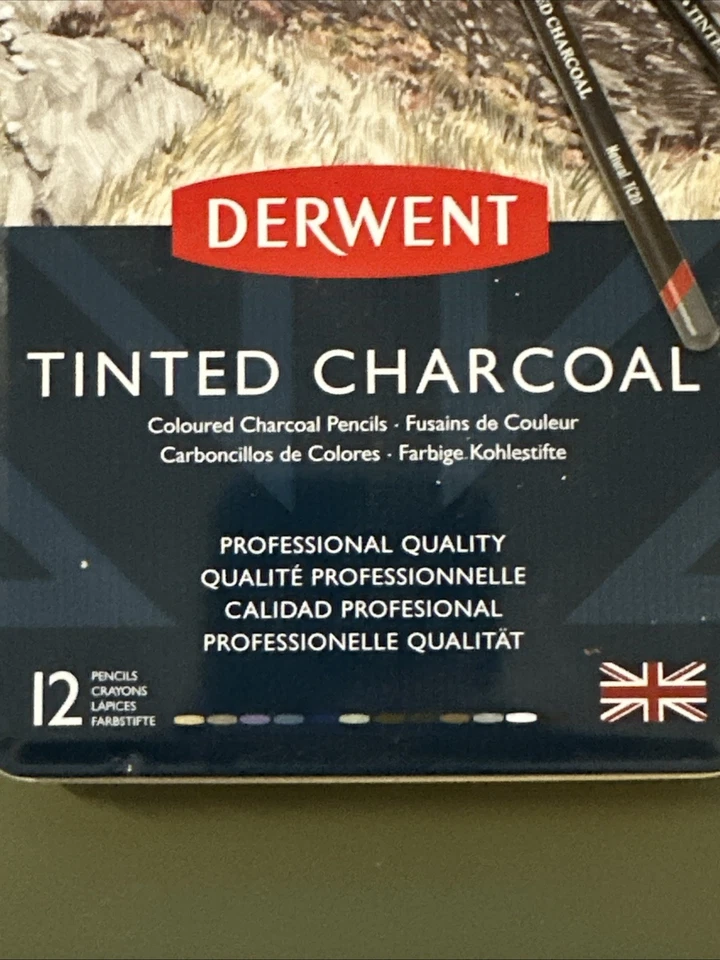 12 lápices de carbón tintado Derwent Foto 4 de 4