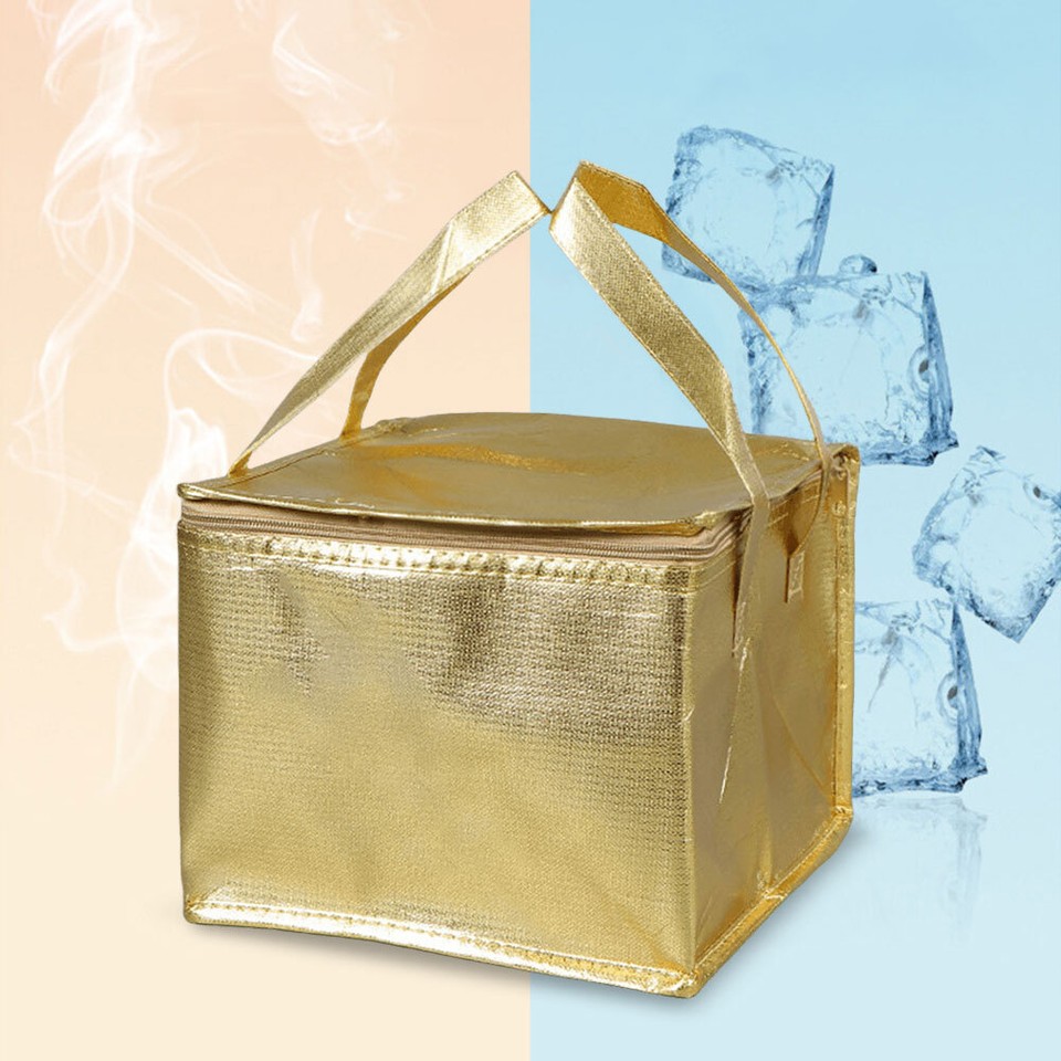 Insulated Food Delivery Bag Cooler Bag Food Insulated Bags for Hot and