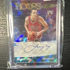 Panini NBA Hoops Hoops Ink Luc Longley Chicago Bulls HI-LLG Autograph