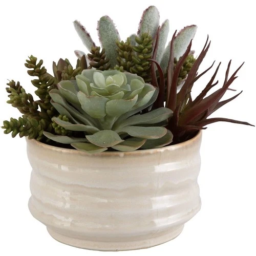 Uttermost 60209 Mesa Succulent Green with Textured Tan Glaze Succulent Accent - Picture 1 of 6