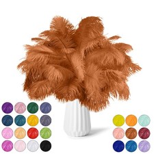 NEWONG 30pcs Brown Ostrich Feathers Natural Bulk 9-12in 23-30cm Vase Craft
