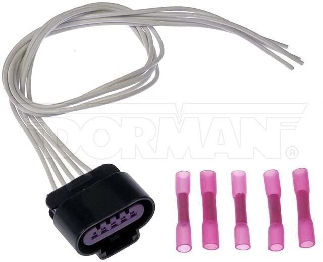 Multi 2024 purpose socket