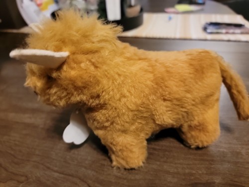 Highland Coo Bull peluche di cardo mucca scozzese prodotti scozzesi. - Foto 2 di 6