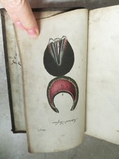 1804 VETERINARY ART DISEASES OF HORSE FOOT plts SHOEING STABLE MANAGEMENT White