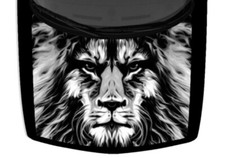 Abstract Lion Head Colorful Hood Truck Wrap Vinyl Car Graphic Decal Grayscale US