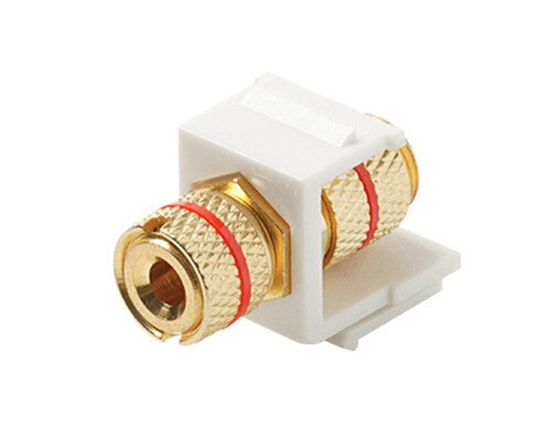 Steren Keystone Snap-in Binding Post Banana Jack Gold with Red Band White - 第 1/1 張圖片