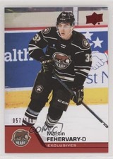 2020-21 Upper Deck AHL Exclusives 57/100 Martin Fehervary #84 0io