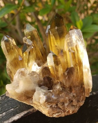 2.75'' Natural Smoky Citrine Quartz Crystal Cluster Mineral Specimen, 198g or 7oz