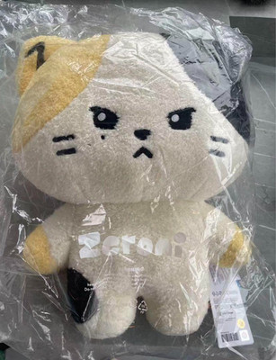 New ZB1 Ricky Rinini Line Friends Zeroni Plush Cushion Doll Flat