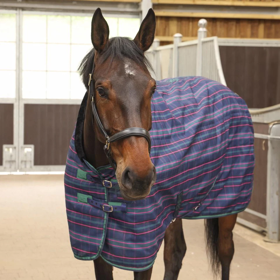 Shires Tempest Plus 100g Stable Rug - Navy Tartan - Image 2 of 2