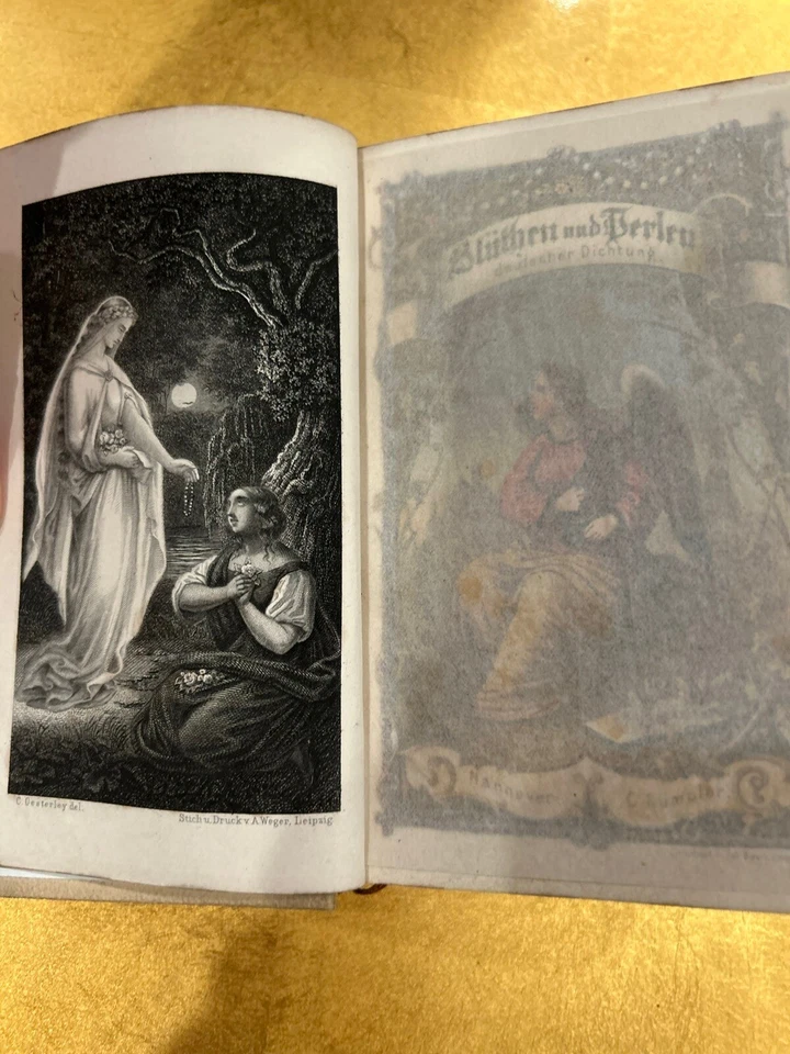 Antiquarian “Bluthen und Perlen” Carl Rumpler 1879 - Image 3 of 4