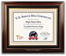 Service Dog Certificate Personalized USA EMOTIONAL SUPPORT THERAPY TRAINING ESA