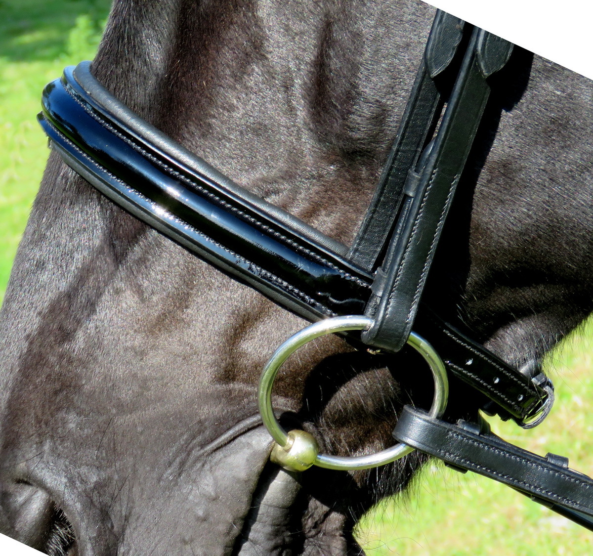 Melodie noseband - matte, white padding (cavesson