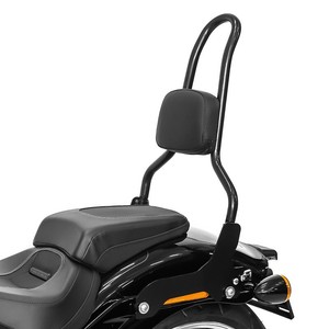 2018 fatboy sissy bar