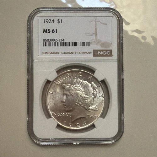 NGC 1924 MS61 Peace Dollar 🇺🇸