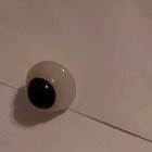 Vintage Eye Button — photo 1
