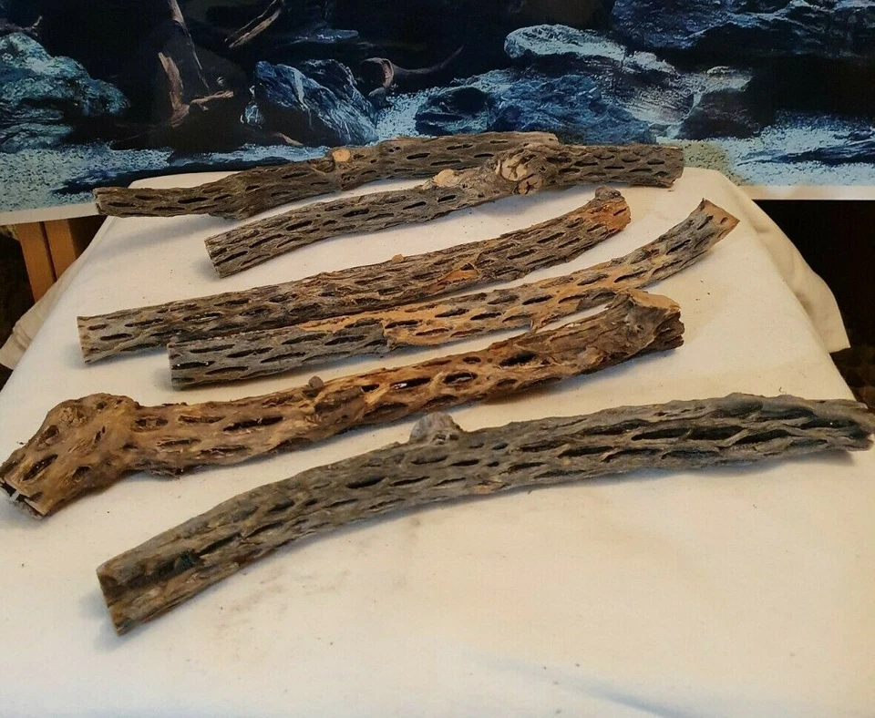 MARKENLOS Vuka Holz small 28cm bis 32cm Wurzel f. Reptilien, Garnelen, Terrarium, Aquarium