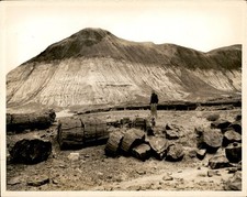 GA346 Approx 1920s-30s Original Underwood Photo PETRIFIED FOREST NATIONAL PARK
