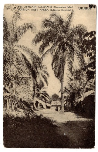 DOA PRIVAT-GA Vista UDJIJI Belgian Congo, Marca Staccata (DA9076)