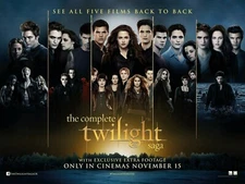 The Twilight Saga movie poster - 12 x 16 - Edward Pattinson, Kristen Stewart