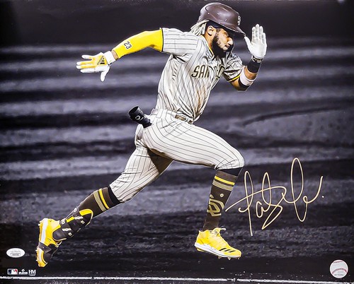 Fernando Tatis Jr Autographed 16x Photo San Diego Padres Spotlight Jsa 1960 Ebay Fernando Tatis Jr Autographed 16x Photo San Diego Padres Spotlight Jsa 1960 Ebay