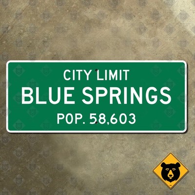 Blue Springs Missouri city limits highway road sign marker boundary 27x11