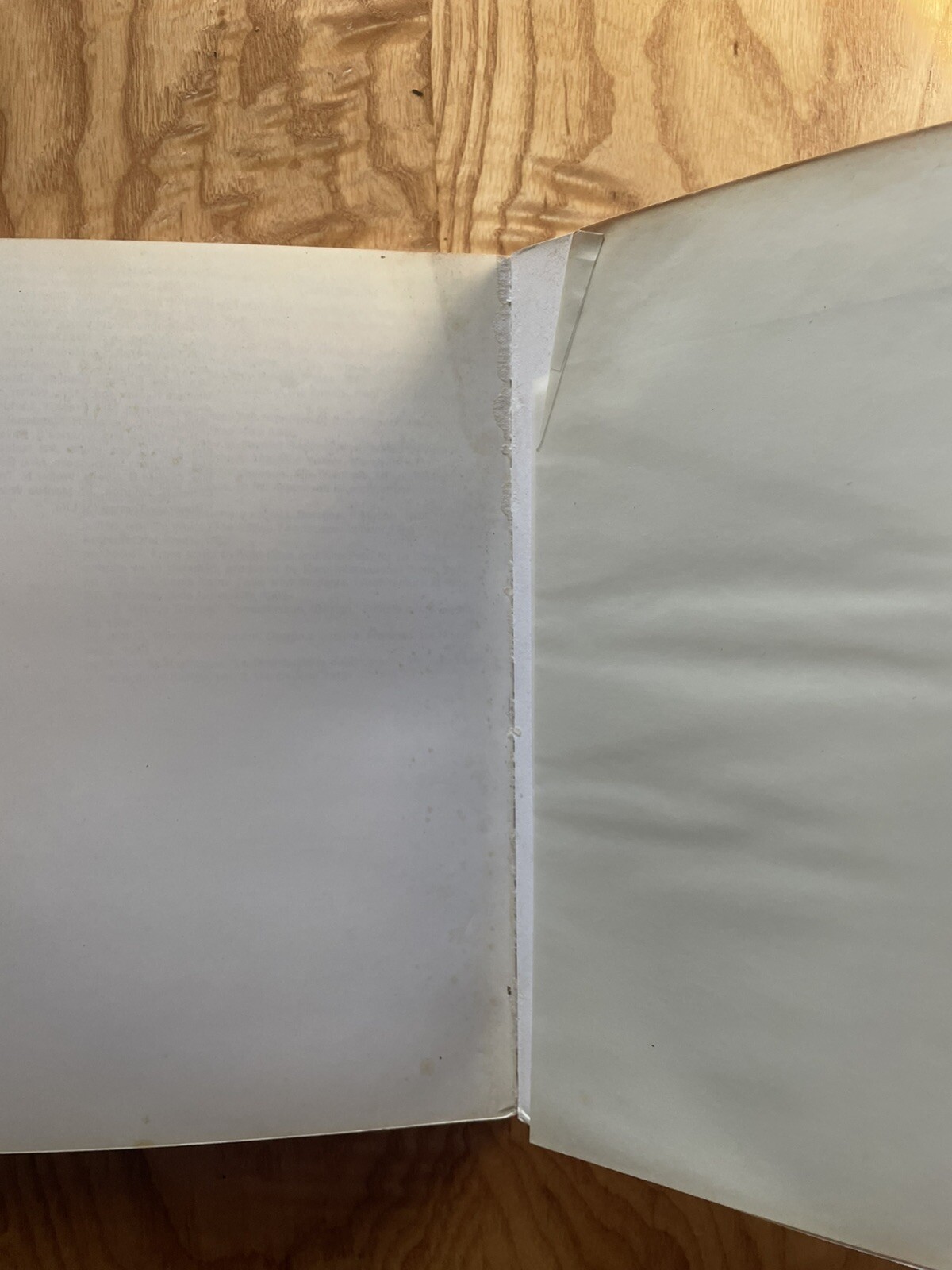 Italy: The New Domestic Landscape Achievements & Problems Of Italian Design MoMa