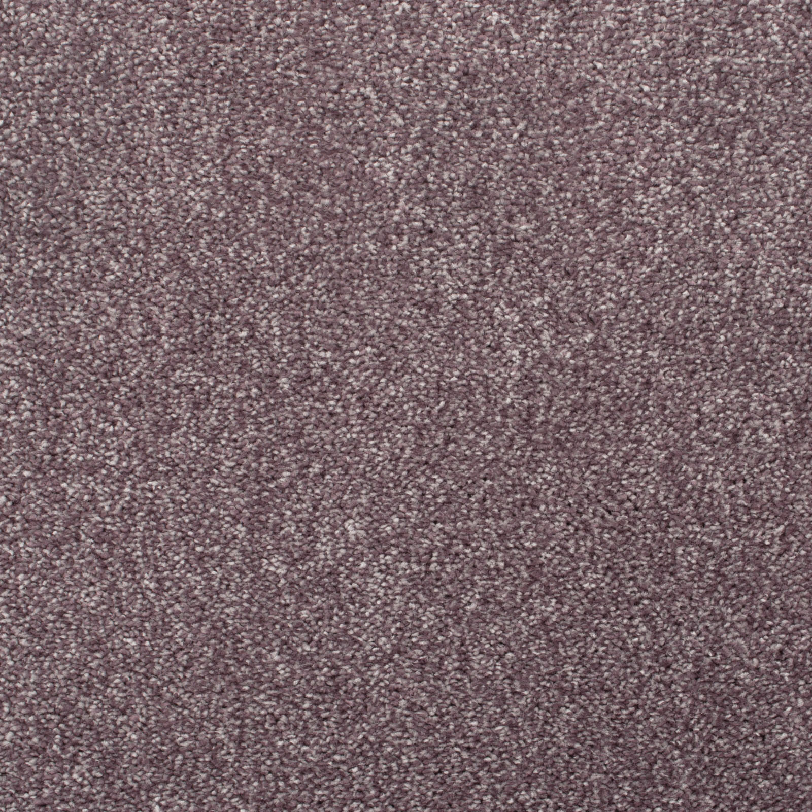 Purple Carpets Cheap Purple Carpets Twist Pile Purple Carpets Feltback