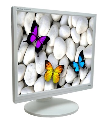 IIYAMA PROLITE B1980SD-W1 48CM 19'' 5:4 LED MONITOR SXGA VGA DVI HÖHENVERSTELLUNG