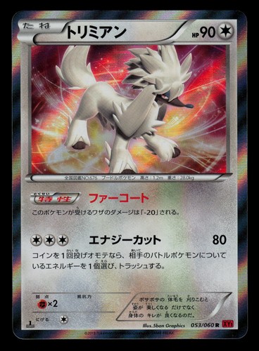 NM - Pokemon Japanese Furfrou 053/060 R Collection Y XY1 Holo Rare 1ST ED