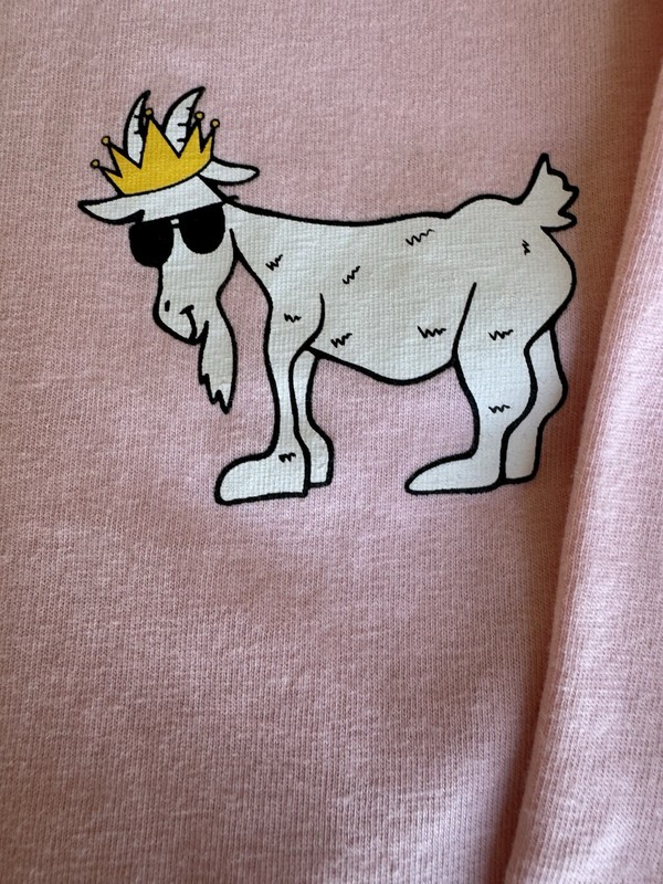 GOAT USA Kids Size Medium (8-10) Pink OG Long Sleeve T-Shirt Logo Top Crew Neck