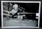 WW2 Egypt - working on a Curtiss Kittyhawk ''C'' section hanger photo 9  by 6cm