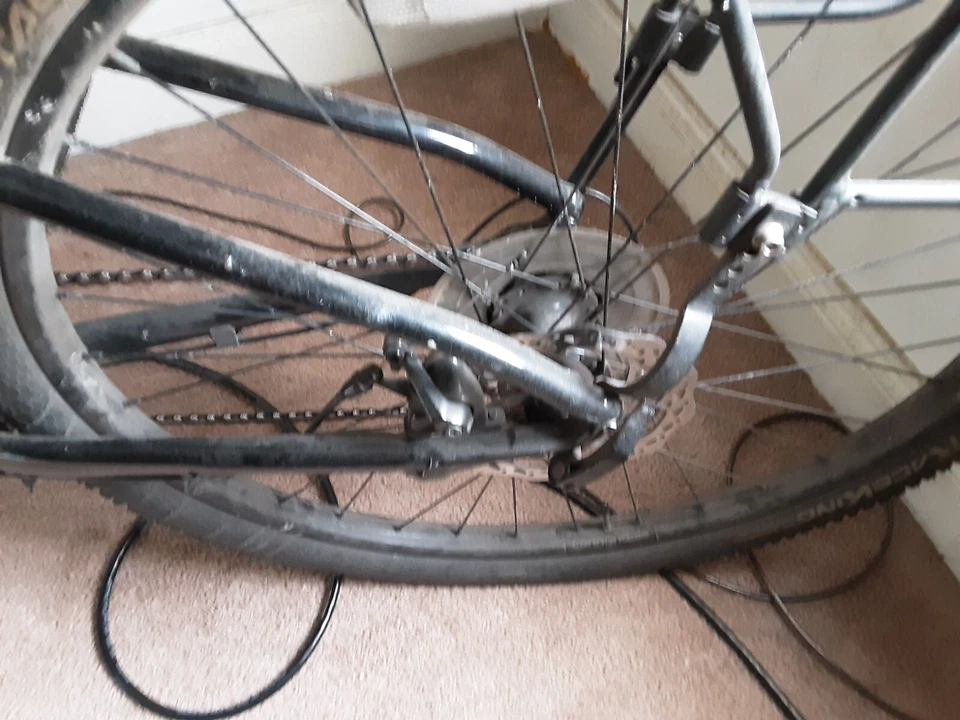 Bicicleta eléctrica personalizada 500w 48v 17ah batería Foto 4 de 4