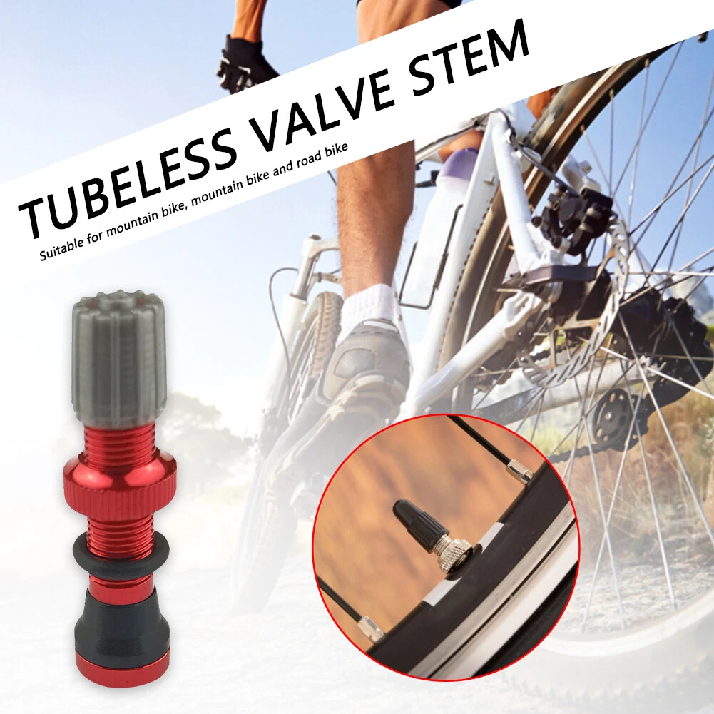 Different bicycle valve stems 2025