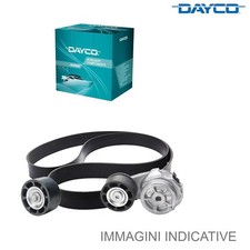 Tenditore Ausiliario Dayco APV3834 per Motori Marini Cummins Marine