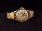 Timex Marlin Men's Watch day date Hand-Winding Water Resistant Working