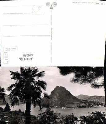 619378,Lugano Monte San Salvatore Palme