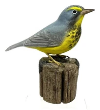 BEAUTIFUL BIRD CARVING, CANADA WARBLER, LIFE-SIZE & REALISTIC L@@K!!!