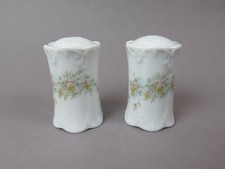Rosenthal Classic Rose Monbijou gr&uuml;ne Ranke Salz- und Pfefferstreuer Porzellan