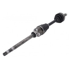 Cardan Lancia PHEDRA